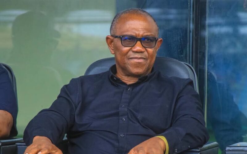 Peter Obi fails to provide details after accusing Tinubu’s govt of targeting him Peter Obi fails to provide details after accusing Tinubu’s govt of targeting him