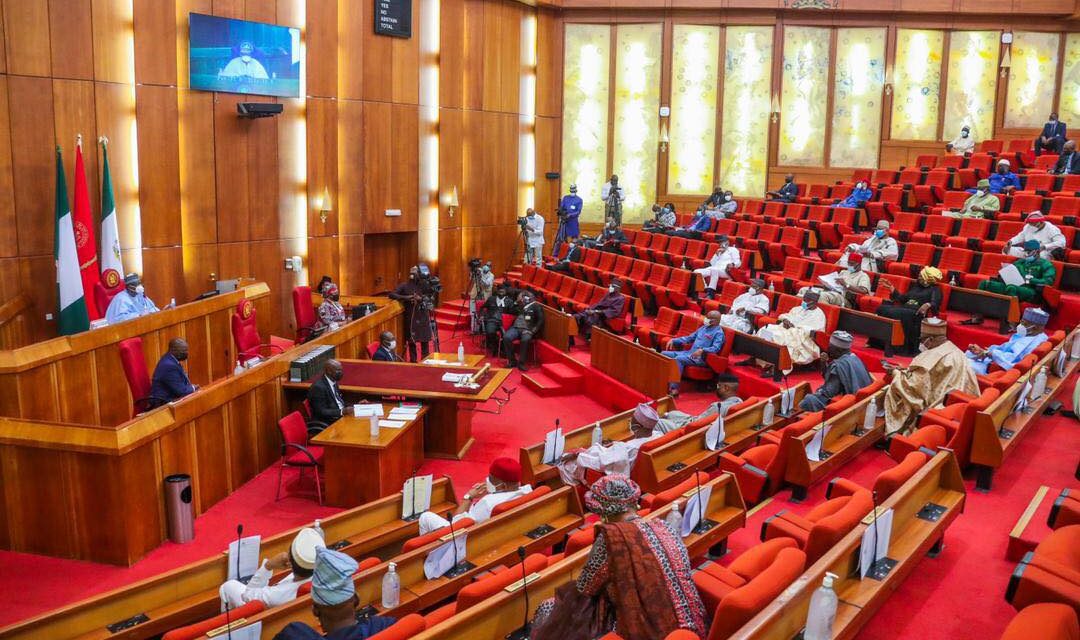 Senate panel clears NGE president, 15 others for NHRC governing board