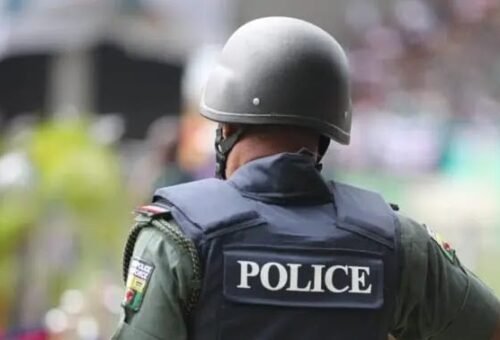 Jigawa police arrest two over alleged vandalism of electricity installations