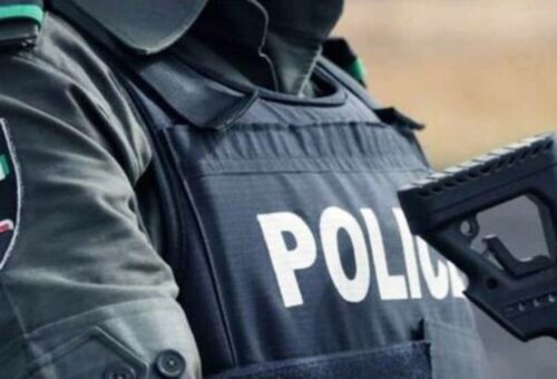 Bauchi police arrest 172 suspects, rescue 29 kidnapped victims ahead of 2027 elections