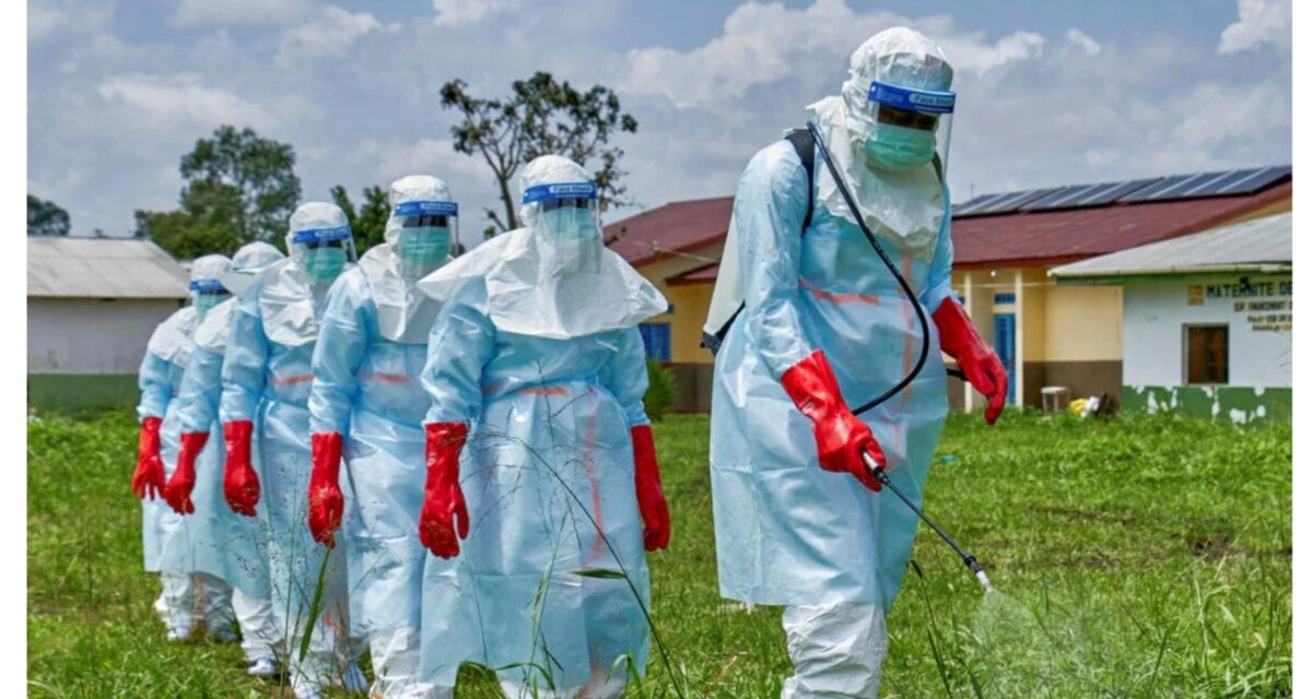 Kano disease centre urges vigilance after reported Ebola case in Abuja