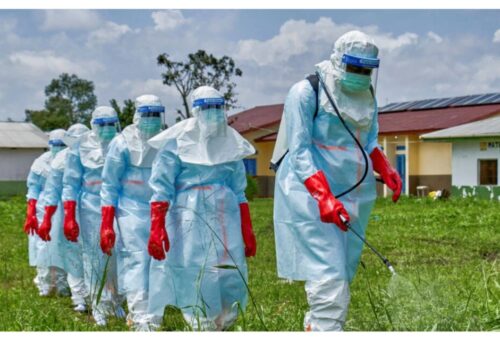 Kano disease centre urges vigilance after reported Ebola case in Abuja