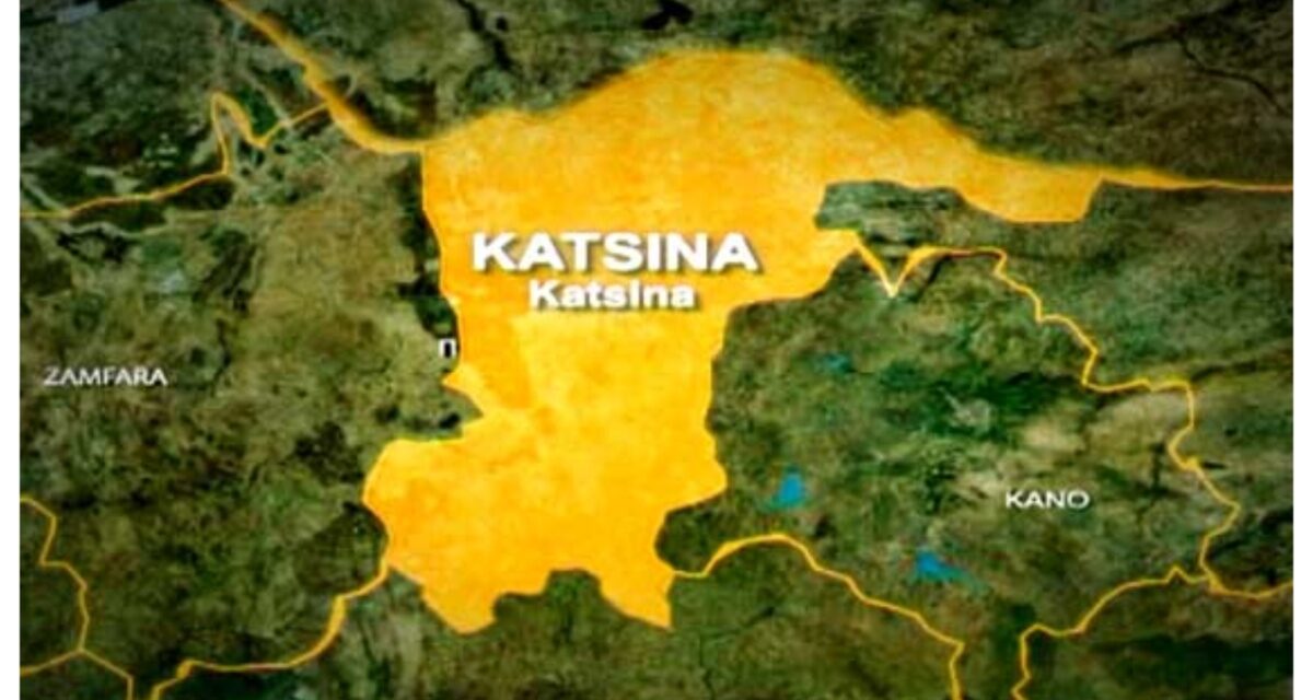 64 Katsina students hospitalised after schistosomiasis drugs
