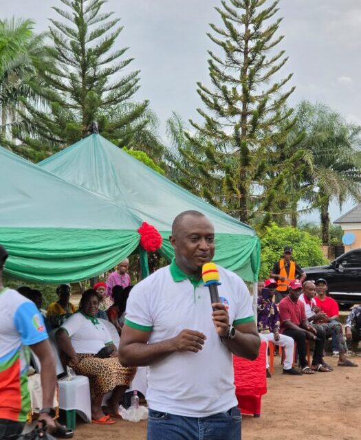Nkwocha Questions Obi’s One-Term Presidency Deal