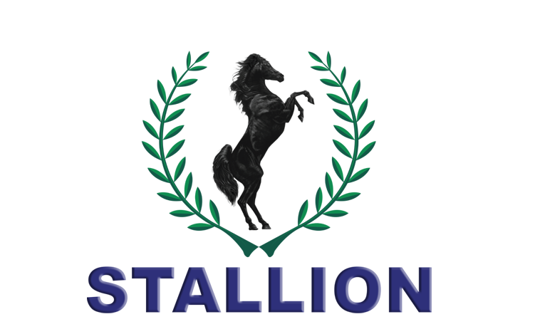 Stallion Group appeals ruling upholding UBA’s appointment of receiver/manager