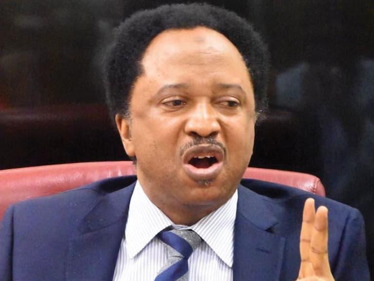‘They Are Not Terrorists,’ Shehu Sani Says Over JIBWIS Viral Video