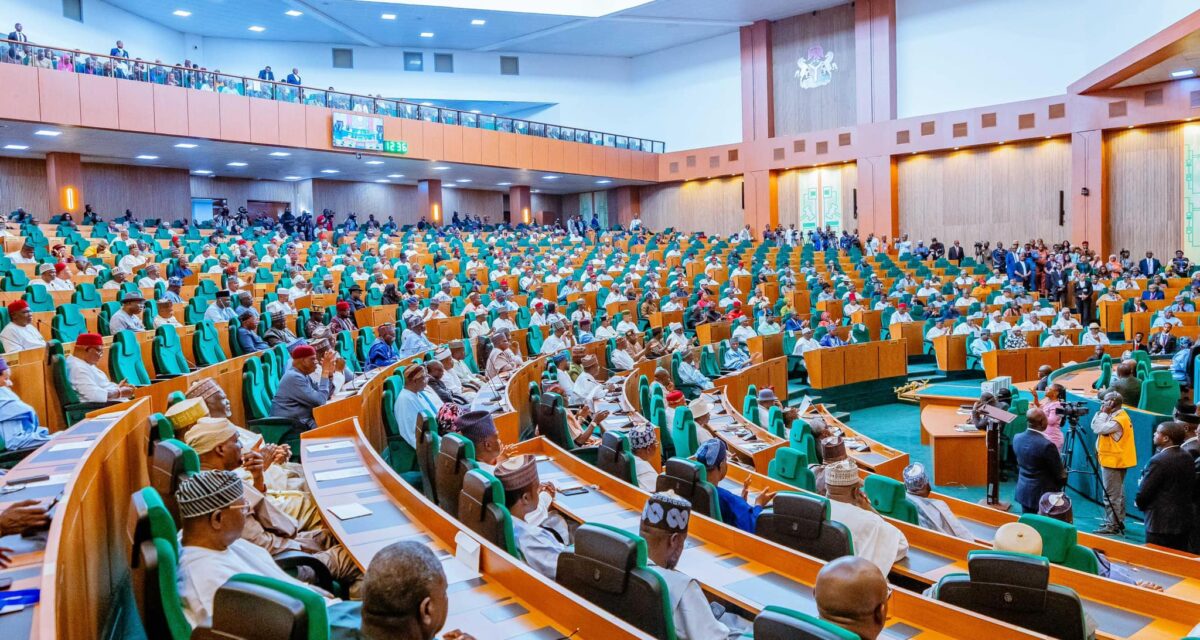 Reps demand urgent action against fake, adulterated food and drinks