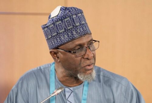 Nigeria urges developed countries to fulfil bn annual biodiversity funding pledge