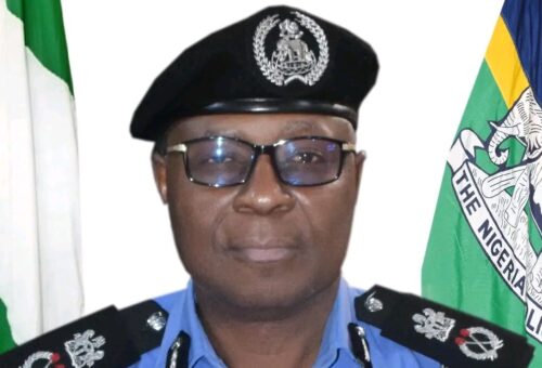 Benue police rescue 29 kidnap victims, arrest 34 foreigners