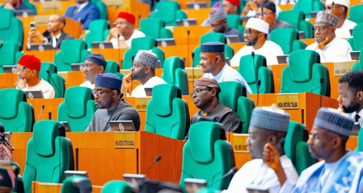 Reps move to establish national authority for renewable energy, pass bill for second reading