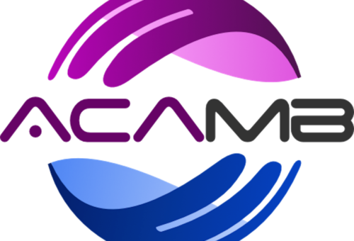 ACAMB Warns Bank Customers against Phishing Scams – THISDAYLIVE