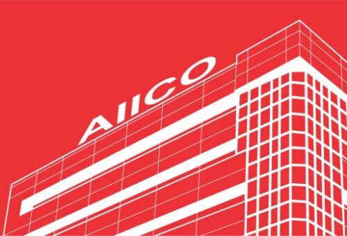 AIICO Conducts Maternal Health Outreach to 1,000 Participants  – THISDAYLIVE