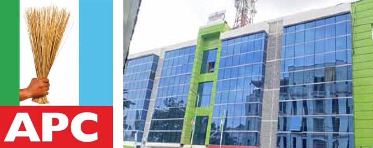 Why APC opted for ‘Rainbow campaign council’ – Daily Trust