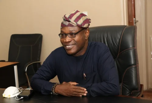 Nigeria needs 10% FDI share to hit trn economy – Adesugba – Daily Trust