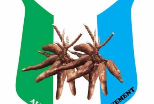APM Drags INEC, PRP Guber Candidate Buba to Court over Violation of 21-Day Rule – THISDAYLIVE