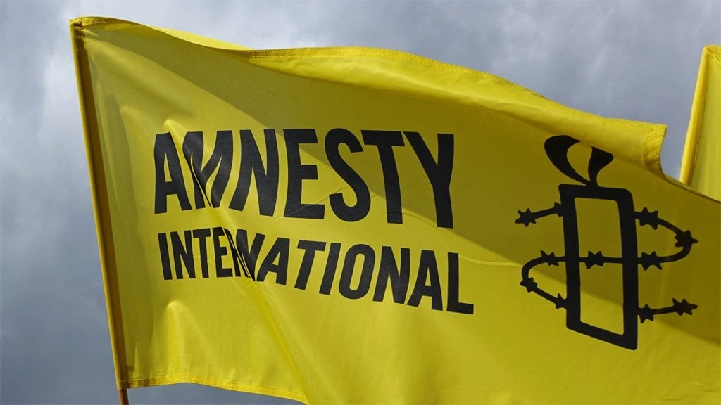Amnesty raises alarm over bandit attacks in Niger, Zamfara