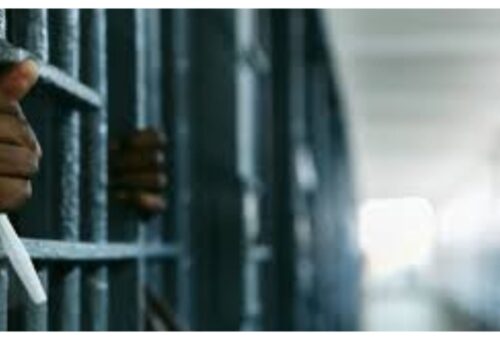 Yobe farmer jailed 10 years for failing to report Boko Haram members