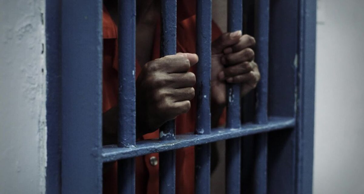 Nigerian campaign worker arrested by ICE after guilty plea in US