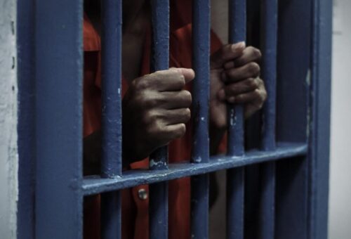Nigerian campaign worker arrested by ICE after guilty plea in US