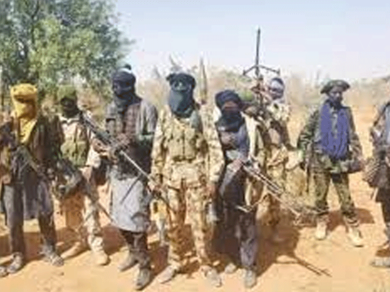 30 Feared Dead in Attack on Taraba Community as Hunters Kill 14 Bandits in Katsina – THISDAYLIVE