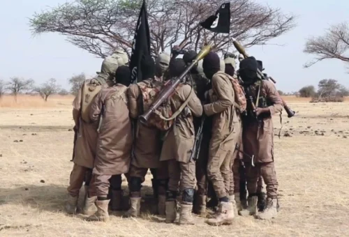 FG secures 653 terrorism convictions, mass trial still ongoing
