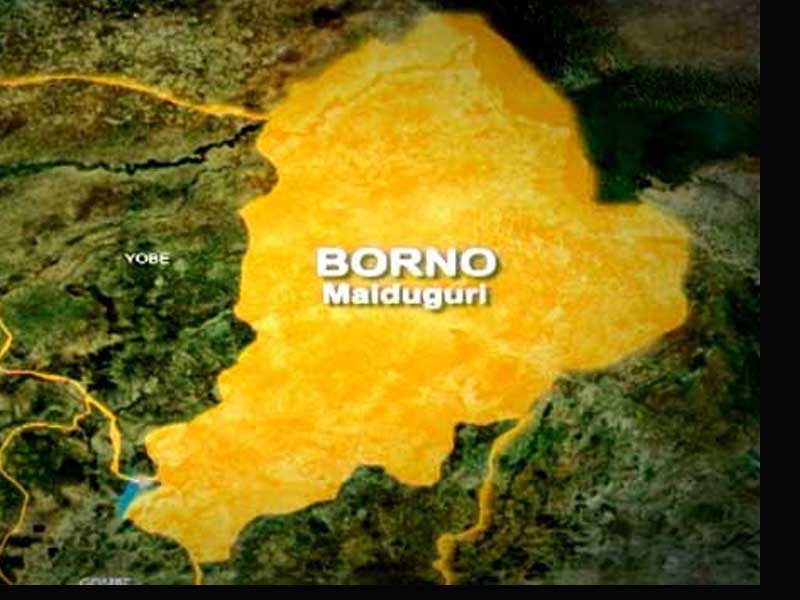 Borno Parents Seek Tinubu’s Intervention As 78 Children, Teacher Remain in Captivity – THISDAYLIVE