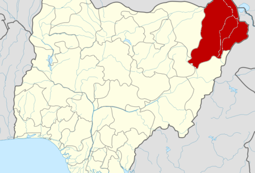 Borno employs 2,000 health workers in two years