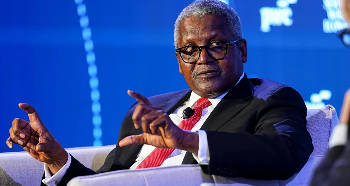 TechCabal Daily – Dangote IPO heads south