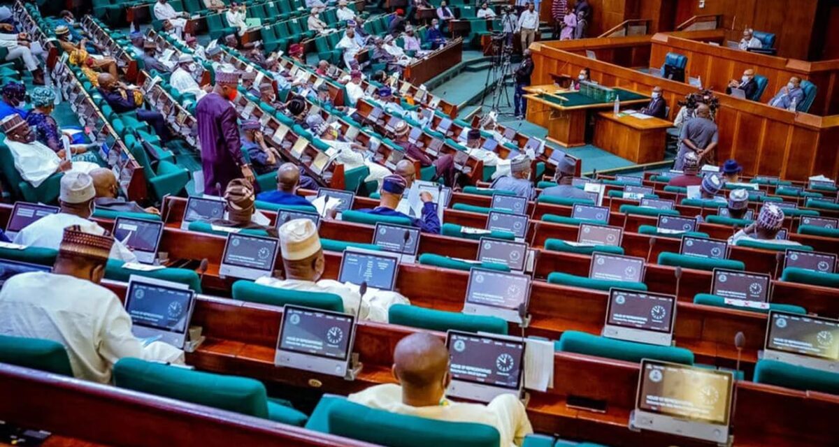 House Approves N100.5bn Reimbursement for Yobe Airport – THISDAYLIVE