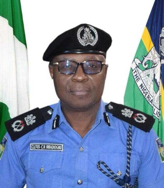 Benue Police Arrest 34 Suspected Foreign Nationals, Rescue 29 Kidnap Victims