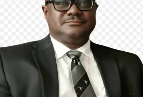 Africa Bar Association President Urges Lawyers To Unite In Defence Of Human Rights