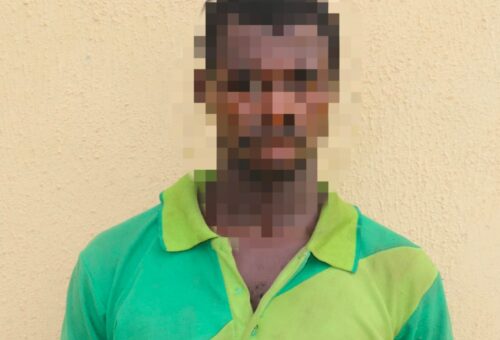 Niger: Police arrest man who allegedly hired kidnappers to kill farmer, take over land