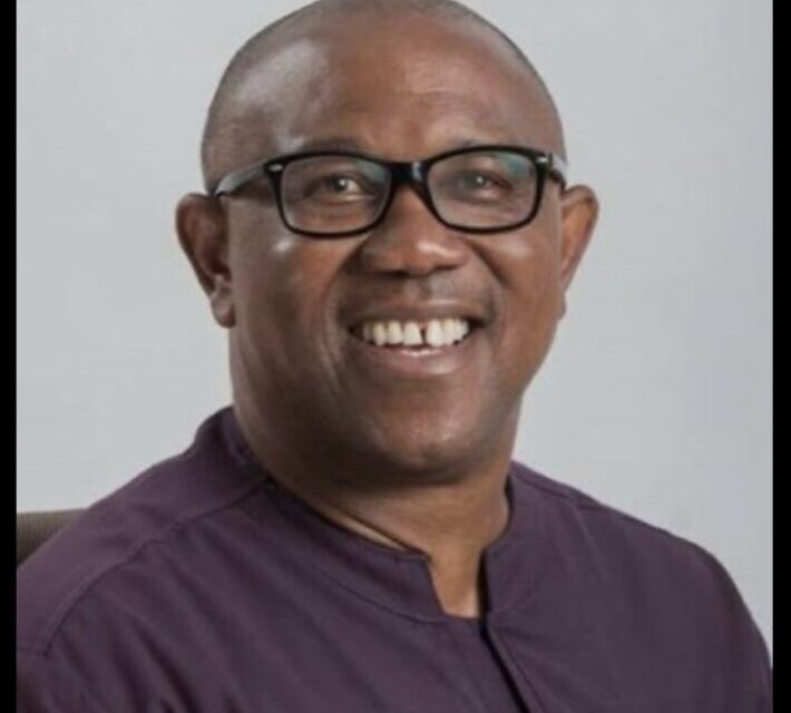 We’ll Rig Those Who Rig Elections, Peter Obi Warns