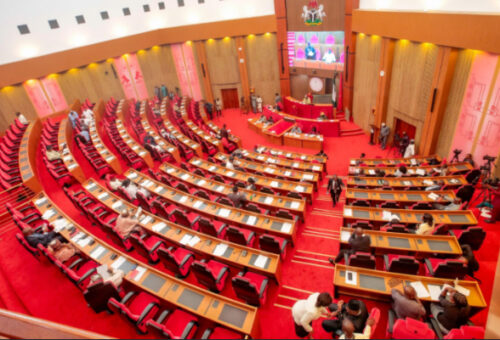 Senate Raises Alarm As 113 Reportedly Die, Demands Urgent Security Action