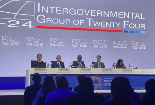 Oyedele warns against tax burden on poor people as G-24 seeks concessional lending support