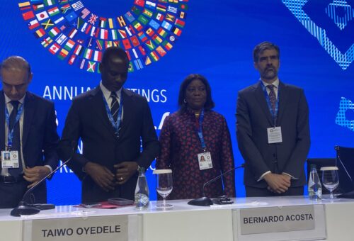 Oyedele, Iyabo Masha speak as G-24 raises concerns over high borrowing costs