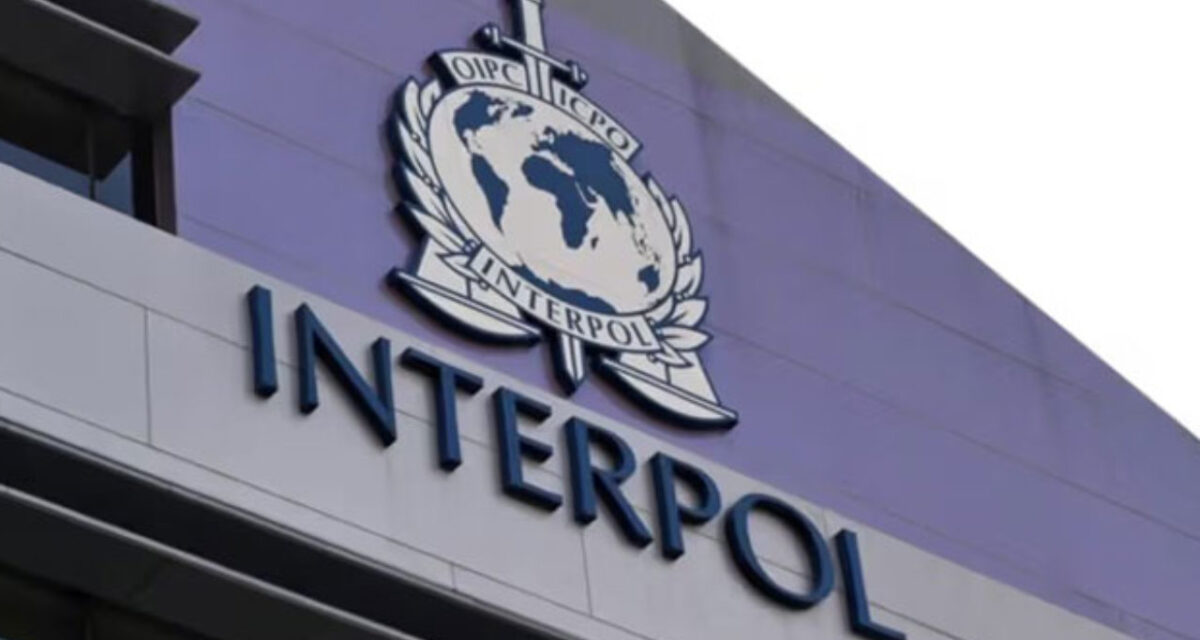 INTERPOL nabs two Nigerian yahoo boys over .4m fraud, recovers 5m in Africa