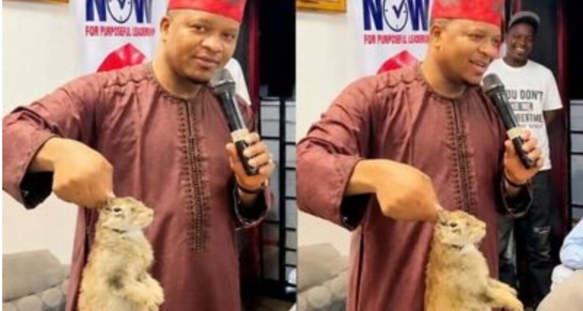Kano Assembly probes lawmaker over alleged mockery of governor