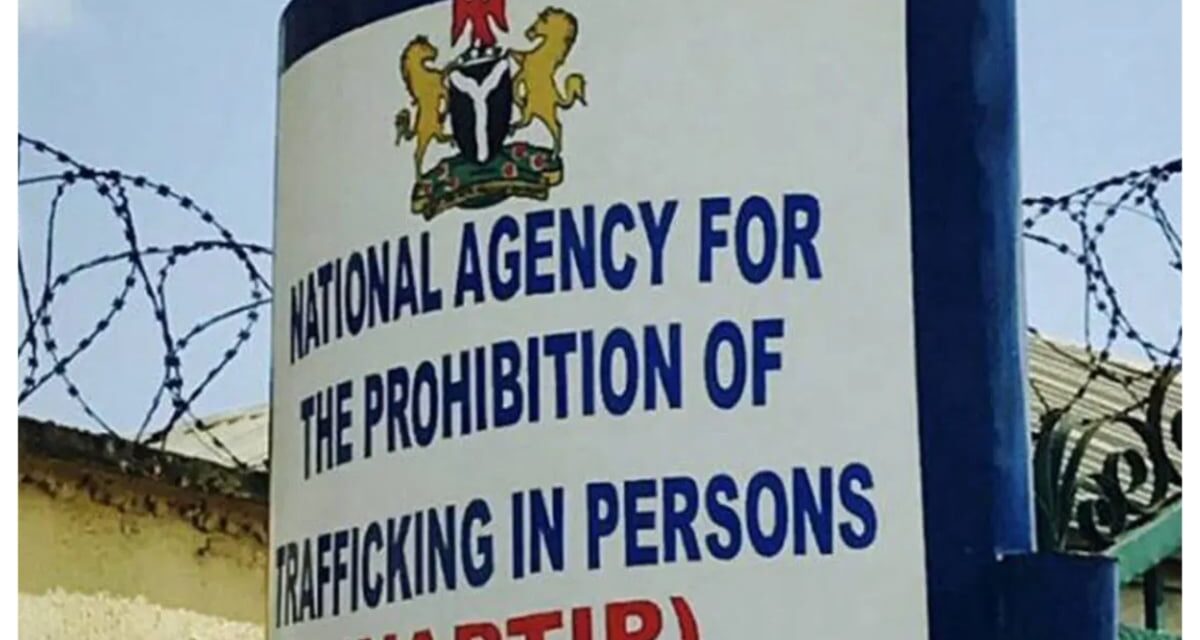 NAPTIP rescues 25 Bauchi indigenes from human trafficking abroad