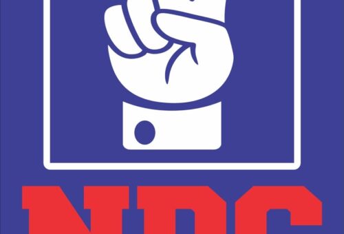 NDC concedes DG campaign council to Obi/Kwankwaso – Daily Trust
