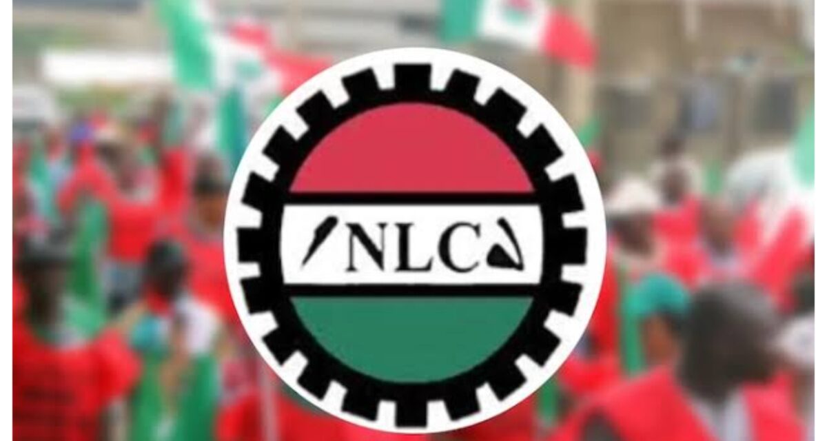 NLC accuses Edo Govt of orchestrating night raid on electricity workers