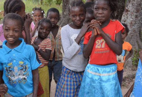 Bauchi Govt Strives to Return Out-of-School Children, Girls to Class – THISDAYLIVE