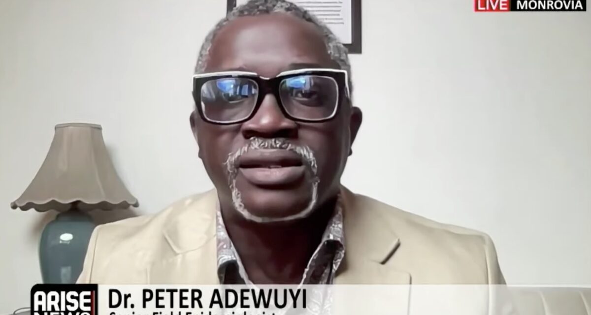 Nigeria has 500 epidemiologists, govt should let them lead Ebola response, expert says