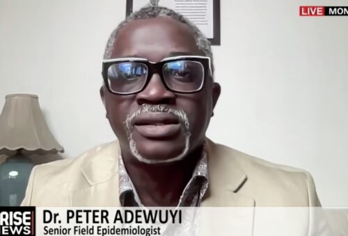 Nigeria has 500 epidemiologists, govt should let them lead Ebola response, expert says