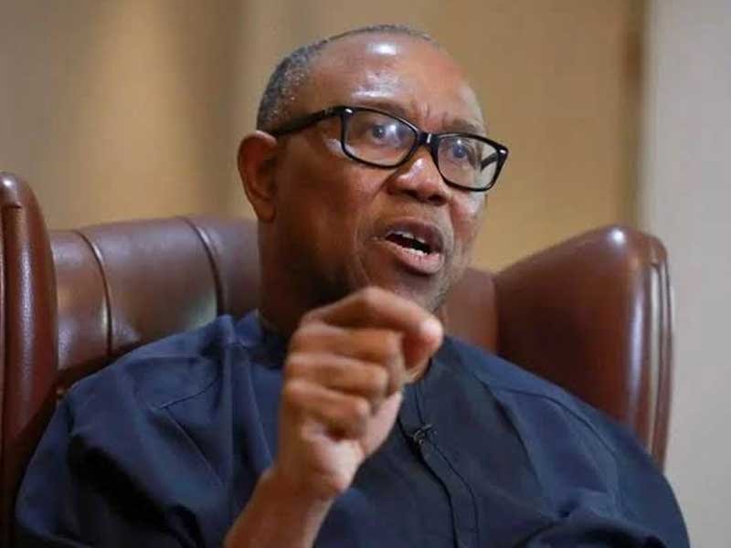 Go Round And Tell Nigerians What You Have Done Or Go Home – THISDAYLIVE