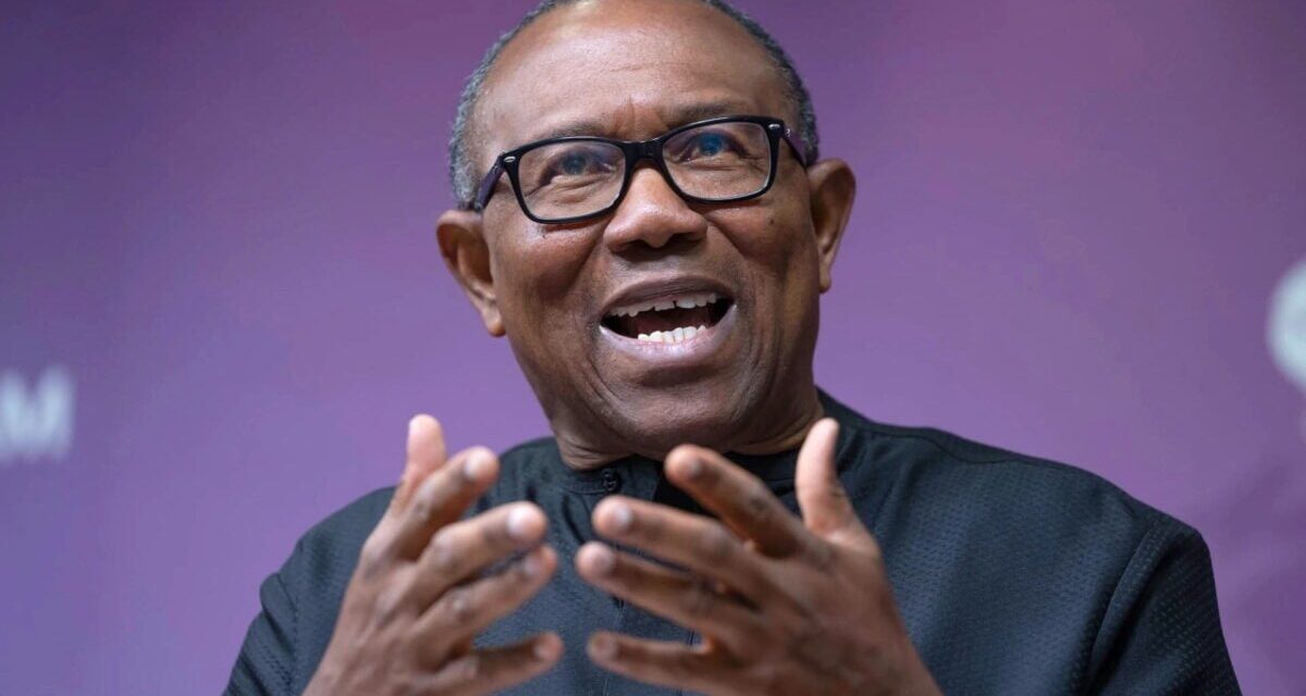 Peter Obi questions why Nigeria did not declare World Poverty Day public holiday