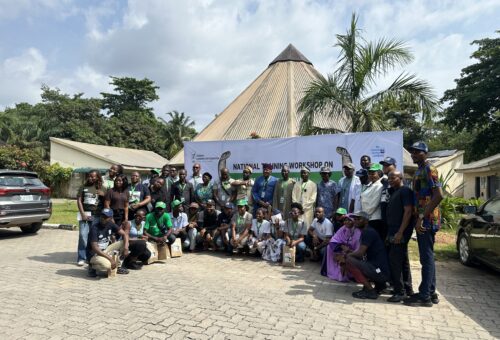 Lagos Risks Losing Historic Buildings as Stakeholders Demand Government Action – THISDAYLIVE