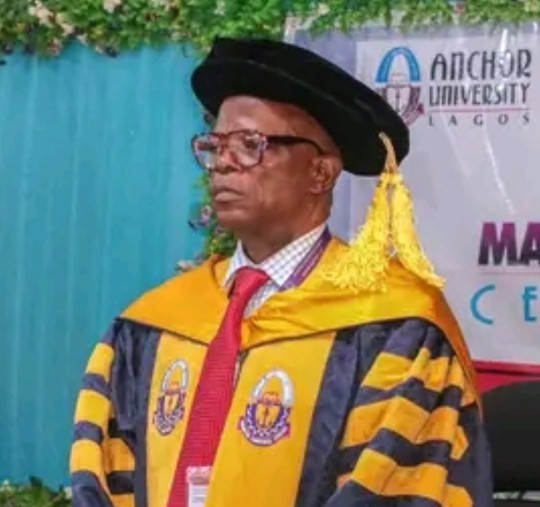 Anchor Varsity Marks 10 Years of Growth, Holds Combined Convocation – THISDAYLIVE