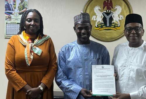 Tinubu Appoints Prof Ahmad As UDUTH CMD – THISDAYLIVE