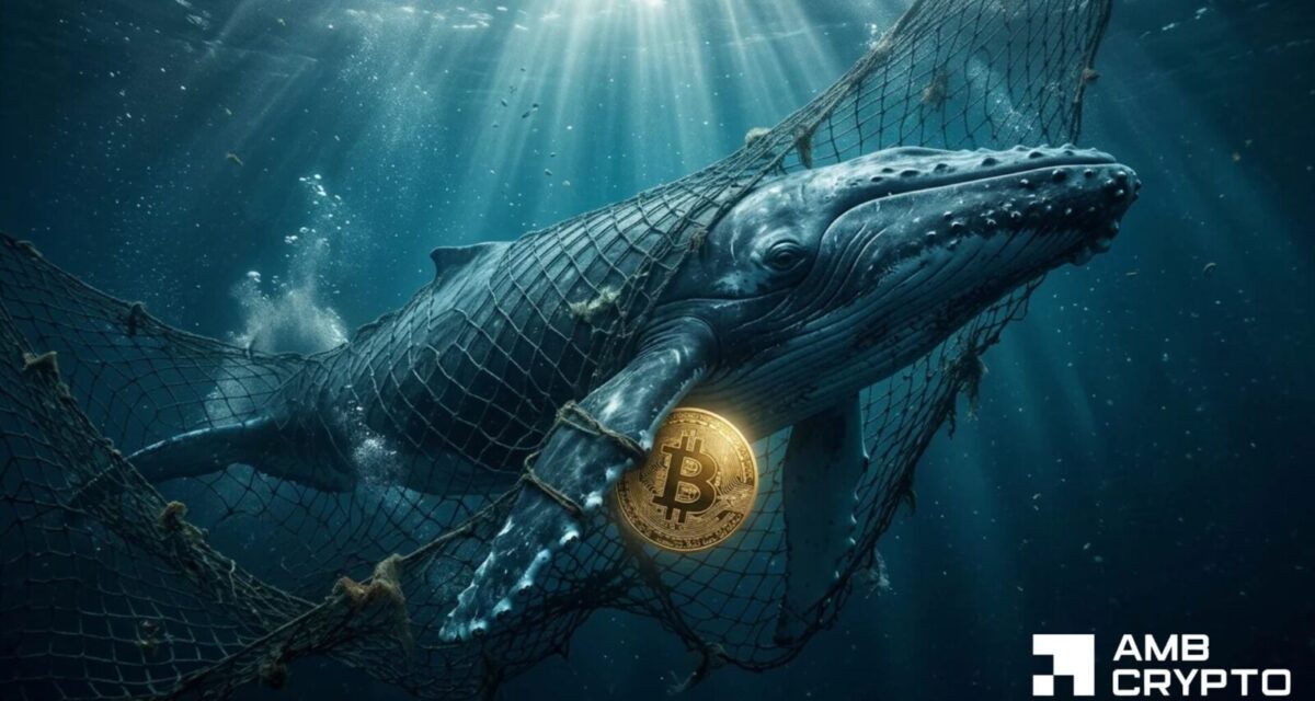 0M Bitcoin hits exchanges in 24 hours – But a 3M whale buy absorbs the pressure